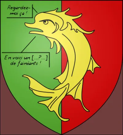 Encore un dauphin grincheux ! Qu'est-ce à dire ?