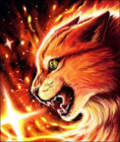 Où y a-t-il un chat roux ?