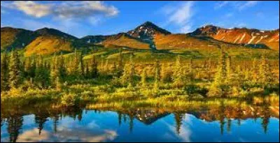 À quel pays les États-Unis ont-ils acheté cet État en 1867 ?