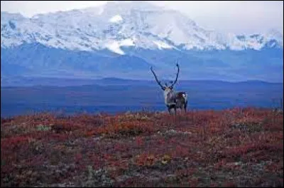 Comment appelle-t-on les habitants de l'Alaska ?