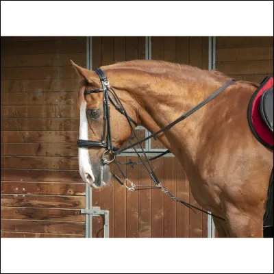 Quel rôle a le gogue commande ?