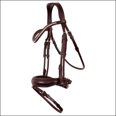 Quelle partie n'est pas dans la bride ?