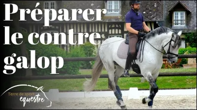Lequel n'est pas un bienfait du contre-galop ?
