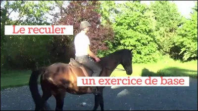 Que ne faut-il pas faire pour le mécanisme du reculer ?