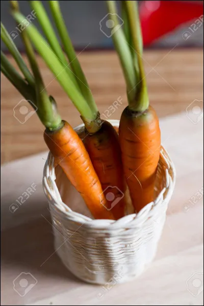 La mise en main c'est...