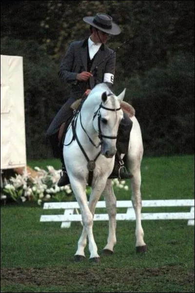 La reprise de dressage du Galop 6 est...