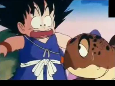 Sangoku pense porter un rocher, mais c'est une Tortue ! Quelle rflexion s'chafaude en lui en l'observant ?