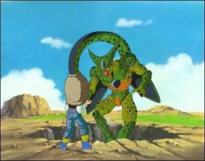 Dans ''Dragon Ball Z'', qui a protg C-17 pour qu'il ne se fasse pas absorber par Cell ?