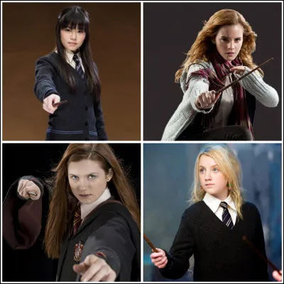 Qui crush sur Harry Potter ?