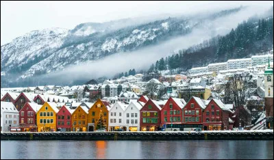 À quoi ressemble le drapeau norvégien ?