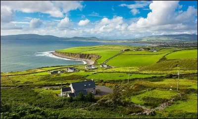 Sur le drapeau irlandais, quelles sont les couleurs placées verticalement ?