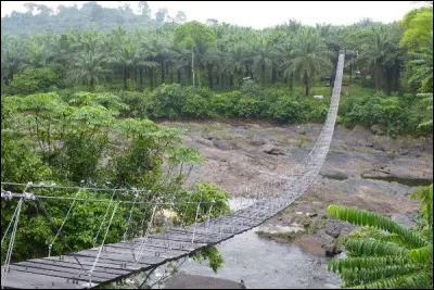 Sur le drapeau du Cameroun, comment sont positionnées les bandes de couleurs verte, rouge et jaune ?