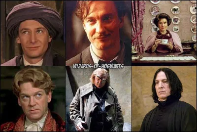 Quel professeur de défense contre les forces du mal as-tu préféré ?