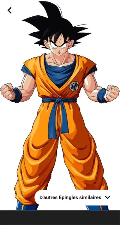 Qui est la femme de Son Goku ?