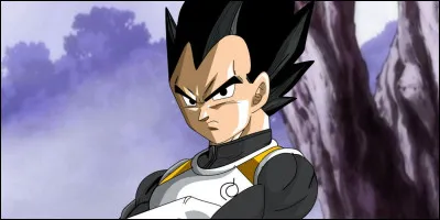 Qui est la femme de Vegeta ?