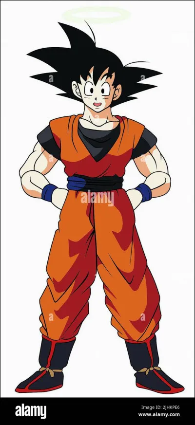 Qui est la mère de Son Goku ?
