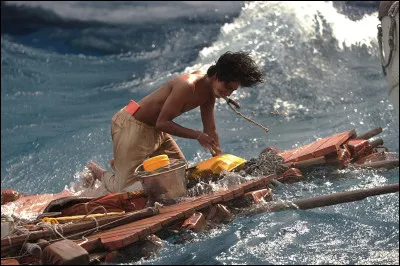 Film : dans ''L'Odyssée de Pi'', avec quels animaux se retrouve Pi dans le canot de sauvetage ?