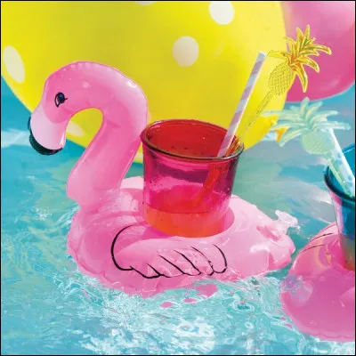 Quel est cet objet ?