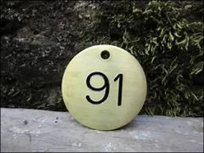 De quoi traite l'article 91 de la Constitution belge ? (2022)