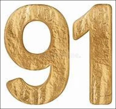 Quel tableau retrouve-t-on dans la pièce des Etats du musée du Louvre ?