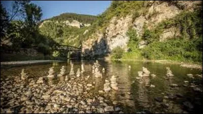 Cette rivière, longue de 71 km, prend sa source dans le massif du Lingas au sud du mont Aigoual, coule vers l'ouest, formant une vallée qui sépare le causse du Larzac du causse Noir et rejoint le Tarn à Millau :