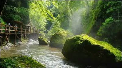 Cette rivière du Cantal, longue de 40 km, prend sa source à 1 665 mètres d'altitude sur les pentes sud du puy de Peyre-Arse dans le massif du puy Mary, puis coule vers le sud-ouest et rejoint la Cère :