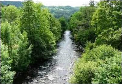 Cette rivière, longue de 56 km, prend sa source vers 1 280 m daltitude à Besse dans le massif du Sancy, coule vers le sud-ouest et se jette dans la Dordogne au sud de Bort-les-Orgues :