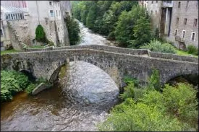 Cette rivière, longue de 140 km, prend sa source à 1 065 m d'altitude dans les monts du Livradois, coule vers le nord et rejoint l'Allier ; sa vallée sépare les monts du Forez, à l'est, et les monts du Livradois, à l'ouest :
