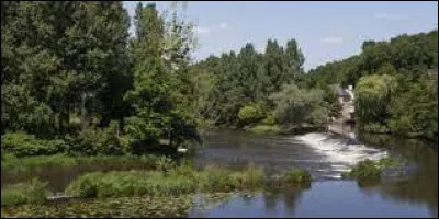 Cette rivière, longue de 204 km, prend sa source à 623 m d'altitude, dans les monts du sud du département de la Creuse, s'écoule vers l'ouest, puis vers le nord et rejoint la Creuse :