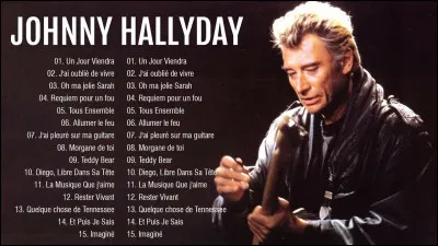 Complétez la chanson "Diego libre dans sa tête" de Johnny Halliday : "Des milliers d'..." :