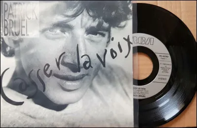 Complétez la chanson "Casser la voix" de Patrick Bruel : "Et le temps qui se perd entre des jeunes..." :