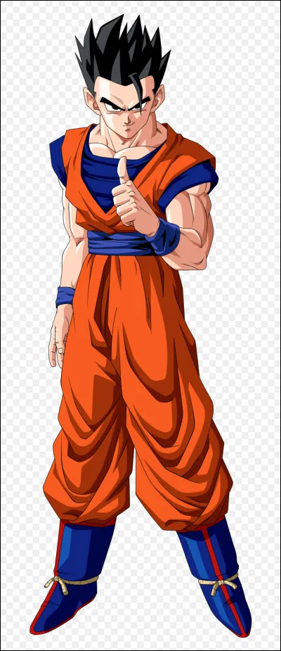 Qui est la fille de Son Gohan ?