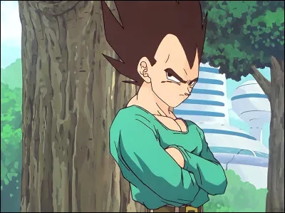 Qui sont les enfants de Vegeta ?
