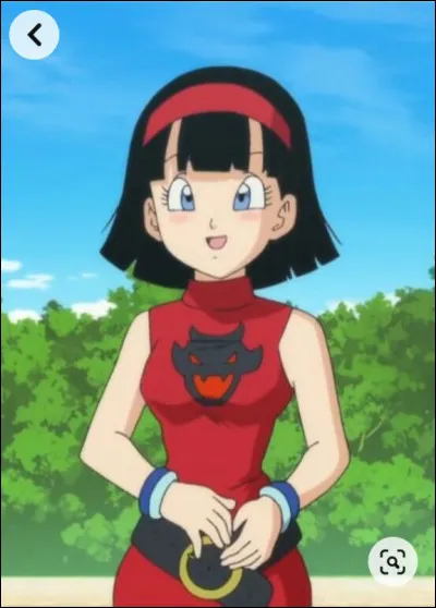 Qui est la fille de Videl ?