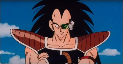 Qui est le fils de Raditz ?