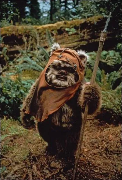 Dans quel film de la saga de La guerre des toiles fait-on connaissance avec les Ewoks ?
