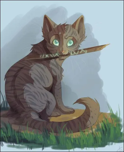 Je suis guérisseur (ou guérisseuse) :