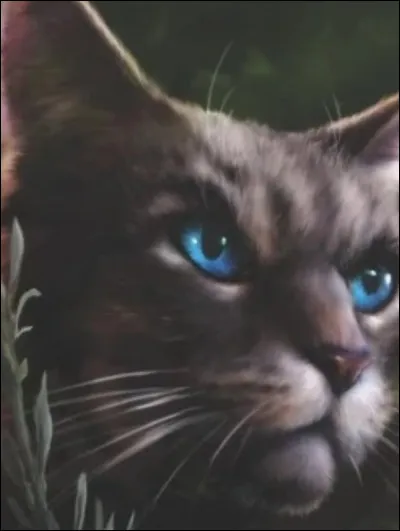 J'ai assassiné Pelage de Granit :