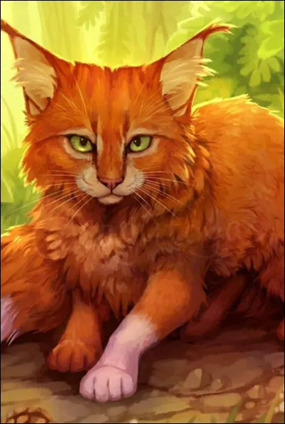 Ma mère est Poil d'Écureuil :