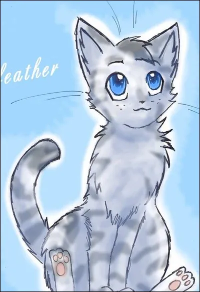 J'ai perdu la vie dans le cycle 4 :