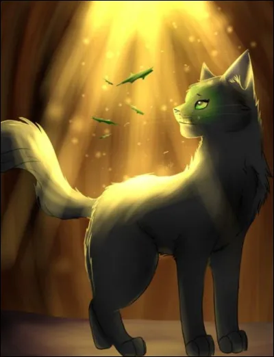 J'ai un demi-frère : Pelage de Brume :