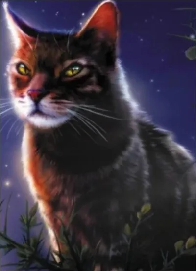 Je suis né dans le Clan du vent :