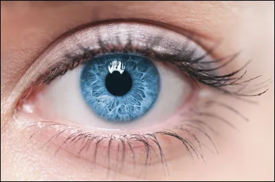 Qui a des yeux bleus ?