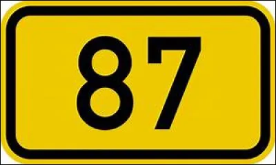 Quelle famille passe ses vacances à la pension de famille Kellerman dans "Dirty Dancing", film sorti en 1987 ?