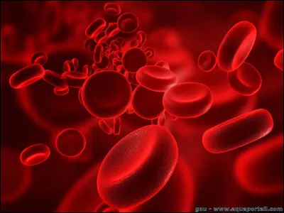 Sciences et nature : Lequel n'est pas un groupe sanguin ?