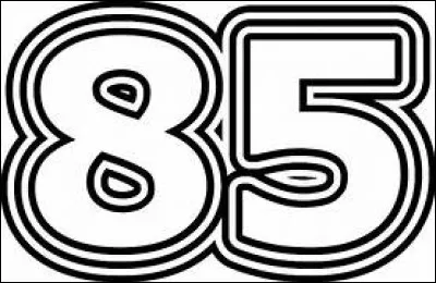 Quel personnage peut-on obtenir avec 85 pièces de monnaie dans le jeu "Super Mario Bros." ?