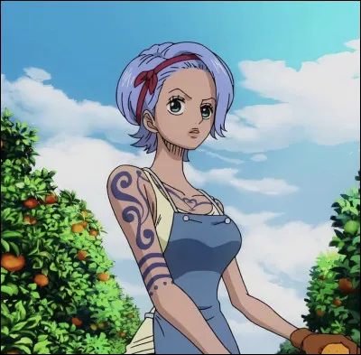Elle est la sœur adoptive de Nami, elle vit sur l'île de Kokoyashi. Quel est son nom ?