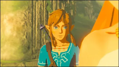 De quel jeu provient cette image de Link ?
