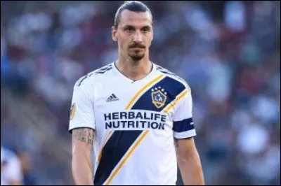 Lorsque Zlatan Ibrahimović est parti du Los Angeles Galaxy, il a dit "Vous vouliez du Zlatan, vous avez eu du Zlatan". Selon lui, quel sport les supporters devaient-ils maintenant regarder ?