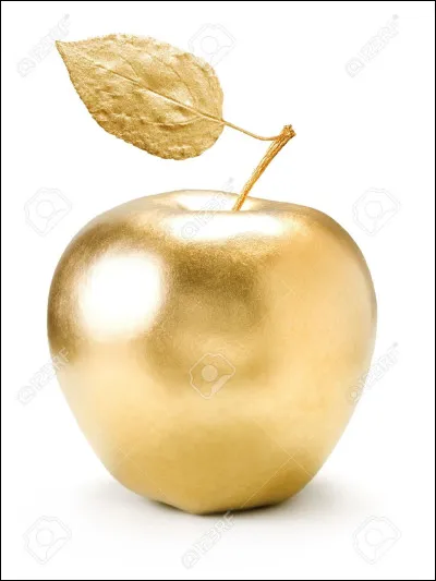 Laquelle est l'intruse ?